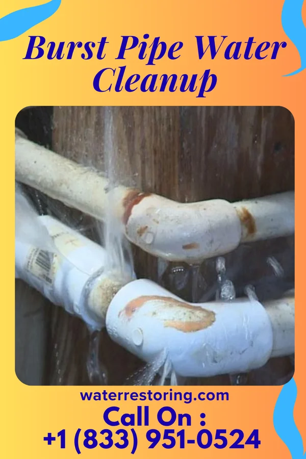 Burst Pipe Water Cleanup in Harris, KS