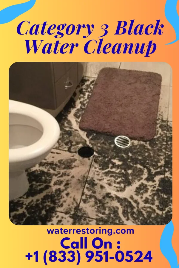Category 3 Black Water Cleanup in Harris, KS