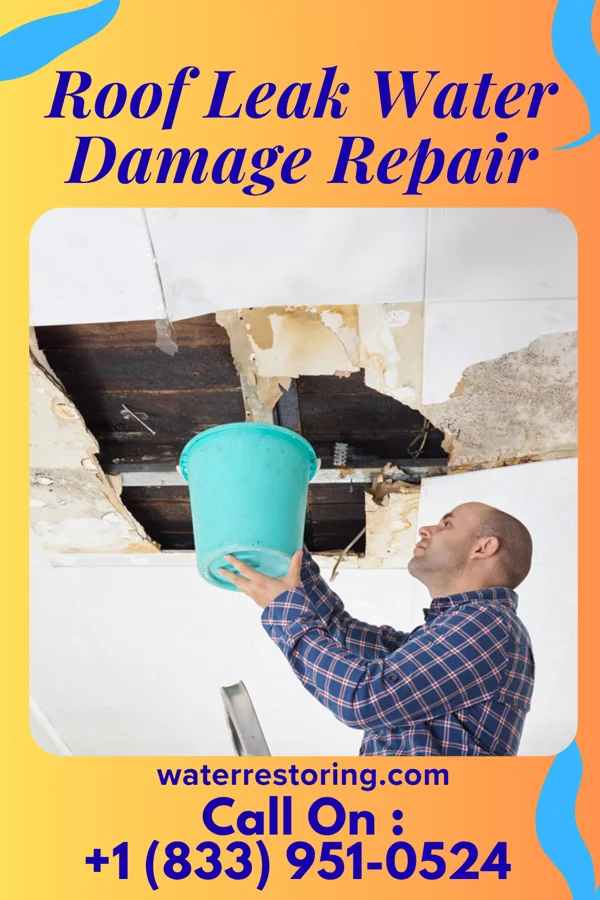 Roof Leak Water Damage Repair in Harris, KS