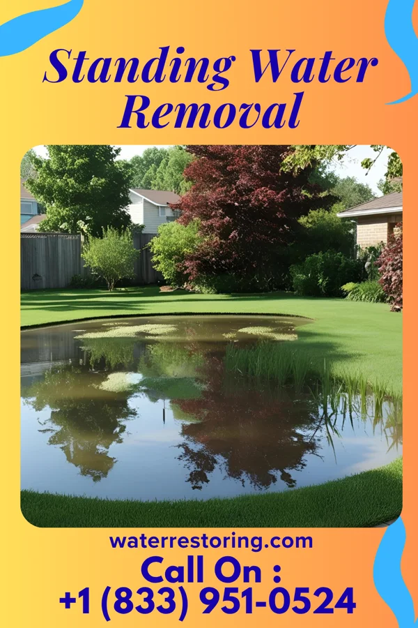 Standing Water Removal in Harris, KS